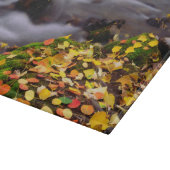 Herbstfarben entlang der McGee Creek Schneidebrett (Ecke)