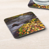 Herbstfarben entlang der McGee Creek Untersetzer (Linke Seite)