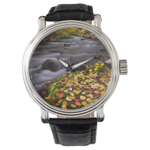 Herbstfarben entlang des McGee Creek Armbanduhr