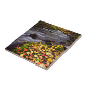 Herbstfarben entlang des McGee Creek Fliese (Seite)
