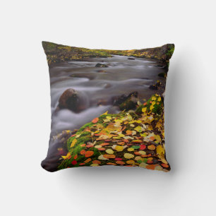 Herbstfarben entlang des McGee Creek Kissen