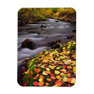 Herbstfarben entlang des McGee Creek Magnet