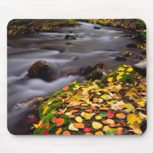 Herbstfarben entlang des McGee Creek Mousepad