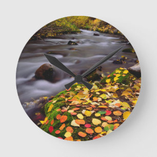 Herbstfarben entlang des McGee Creek Runde Wanduhr