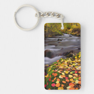 Herbstfarben entlang des McGee Creek Schlüsselanhänger