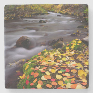 Herbstfarben entlang des McGee Creek Steinuntersetzer