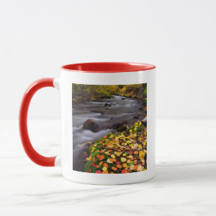 Herbstfarben entlang des McGee Creek Tasse