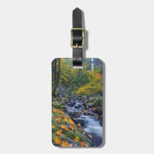 Herbstfarben entlang des Starvation Creek Falls Gepäckanhänger