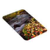 Herbstfarben entlang McGee Creek Magnet (Rechte Seite)