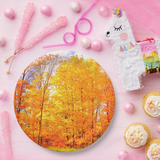 Herbstfarben / Erntedank Pappteller (Party)