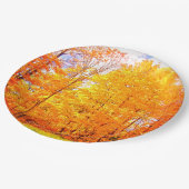 Herbstfarben / Erntedank Pappteller (Schrägansicht)