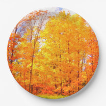 Herbstfarben / Erntedank