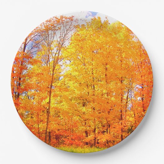 Herbstfarben / Erntedank Pappteller (Vorderseite)