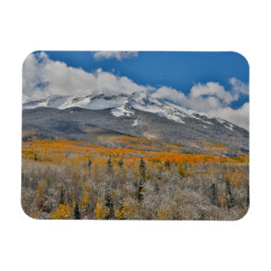Herbstfarben Espen & Rocky Mountains, Colorado Magnet
