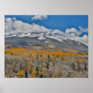 Herbstfarben Espen &    Rocky Mountains, Colorado Poster