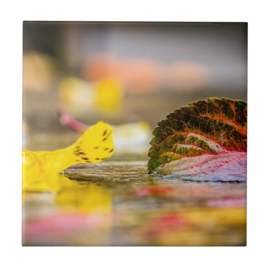 Herbstfarben Fliese (Vorderseite)