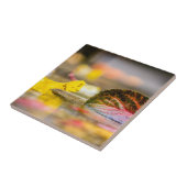 Herbstfarben Fliese (Seite)