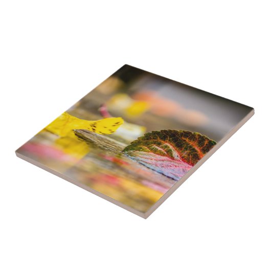 Herbstfarben Fliese (Seite)