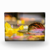 Herbstfarben Fotoblock (Vorderseite)