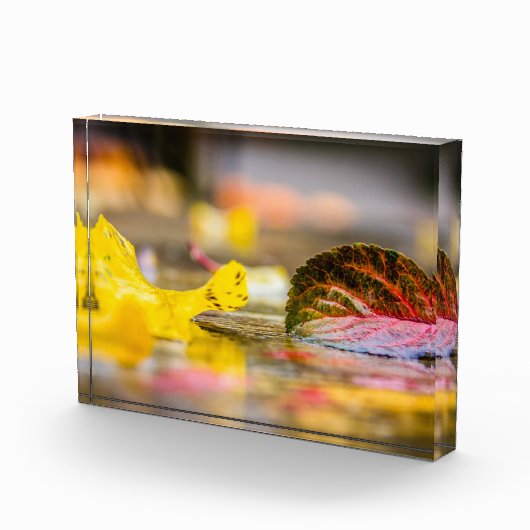 Herbstfarben Fotoblock (Rechts)