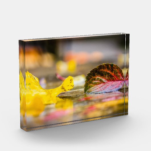 Herbstfarben Fotoblock (Links)