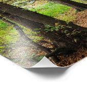 Herbstfarben Fotodruck (Ecke)