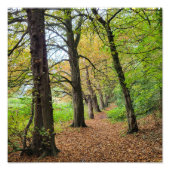 Herbstfarben Fotodruck (Vorne)