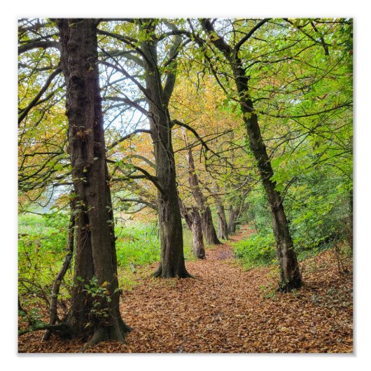 Herbstfarben Fotodruck (Vorne)