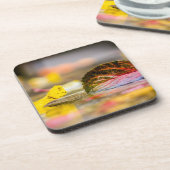 Herbstfarben Getränkeuntersetzer (Linke Seite)