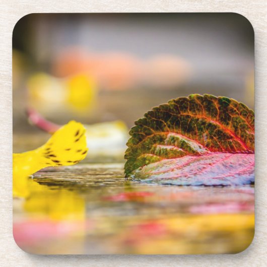 Herbstfarben Getränkeuntersetzer (Vorderseite)