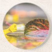 Herbstfarben Getränkeuntersetzer (Vorne)