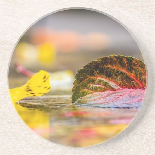 Herbstfarben Getränkeuntersetzer (Vorne)