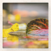Herbstfarben Glasuntersetzer (Vorderseite)