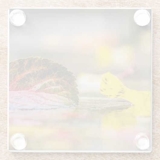 Herbstfarben Glasuntersetzer (Rückseite)