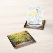 Herbstfarben im Cuyahoga Valley Nationalpark Rechteckiger Pappuntersetzer (Vor Ort)