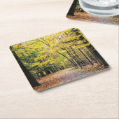 Herbstfarben im Cuyahoga Valley Nationalpark Rechteckiger Pappuntersetzer (angewinkelt)