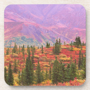 Herbstfarben im Denali-Nationalpark Getränkeuntersetzer