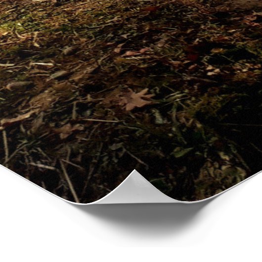 Herbstfarben im Grünen Poster (Ecke)