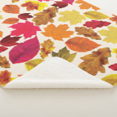 Herbstfarben im Herbst Blätter weich Sherpadecke (3/4)