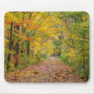 Herbstfarben im Independence State Park Mousepad