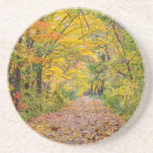 Herbstfarben im Independence State Park Sandstein Untersetzer