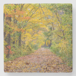 Herbstfarben im Independence State Park Steinuntersetzer
