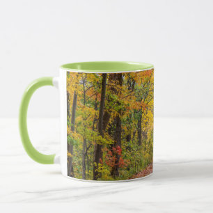 Herbstfarben im Independence State Park Tasse