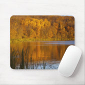 Herbstfarben im Maplewood Staat Park in der Nähe Mousepad (Mit Mouse)