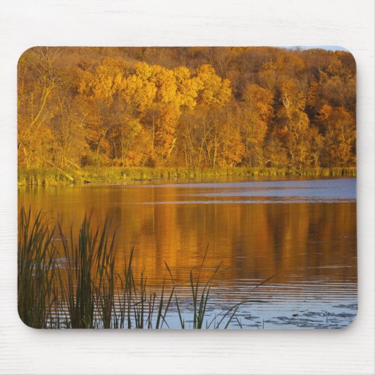 Herbstfarben im Maplewood Staat Park in der Nähe Mousepad (Vorne)