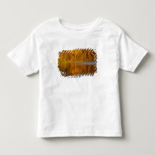 Herbstfarben im Maplewood State Park in der Nähe v Kleinkind T-shirt