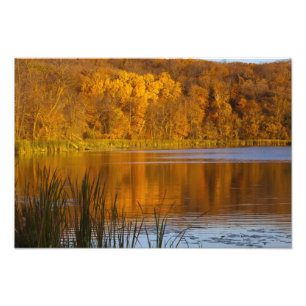 Herbstfarben im Maplewood State Park nahe Fotodruck