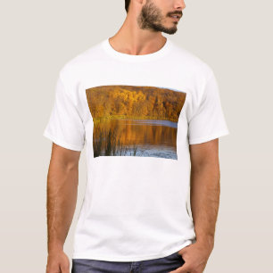 Herbstfarben im Maplewood State Park nahe T-Shirt