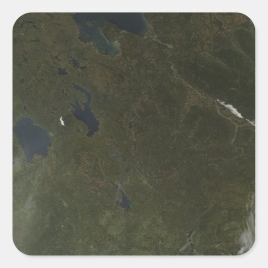 Herbstfarben im Nordwesten Russlands Quadratischer Aufkleber (Vorderseite)