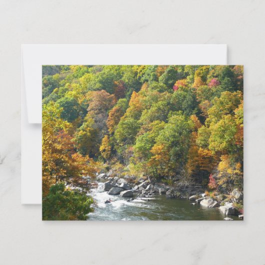 Herbstfarben im Ohiopyle State Park (Vorderseite)